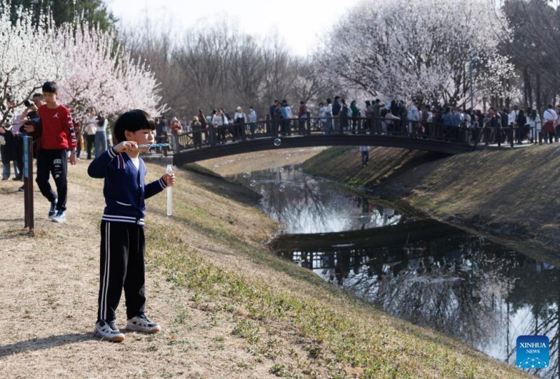 Εκθέσεις με θέμα την άνοιξη και τα πολιτιστικά προϊόντα τονώνουν την οικονομία στο Πεκίνο