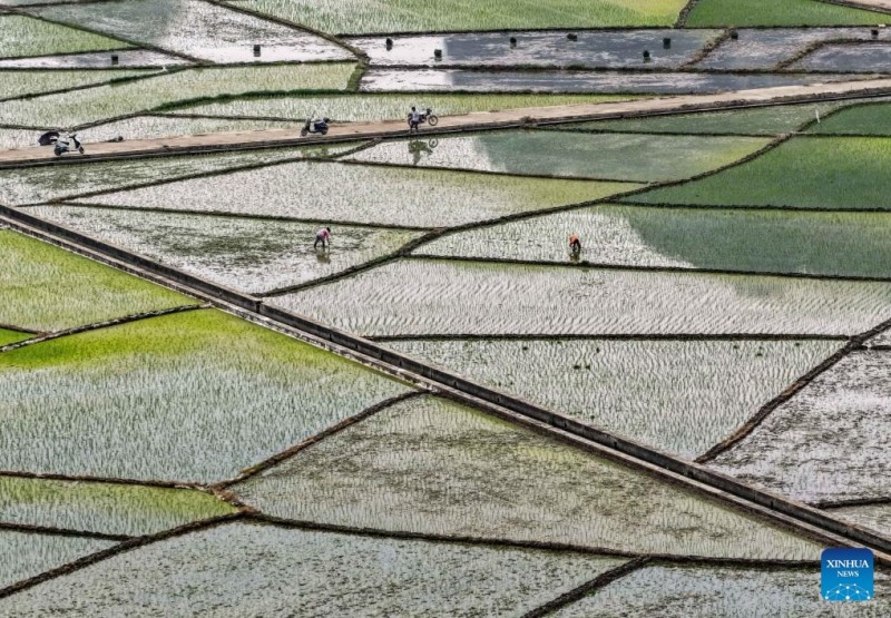 Εαρινές αγροτικές εργασίες σε όλη την Κίνα