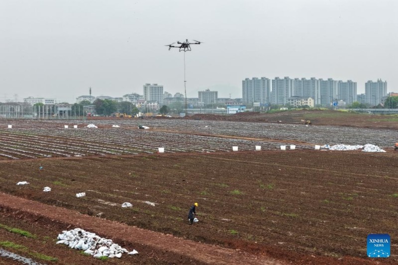 Εαρινές αγροτικές εργασίες σε όλη την Κίνα