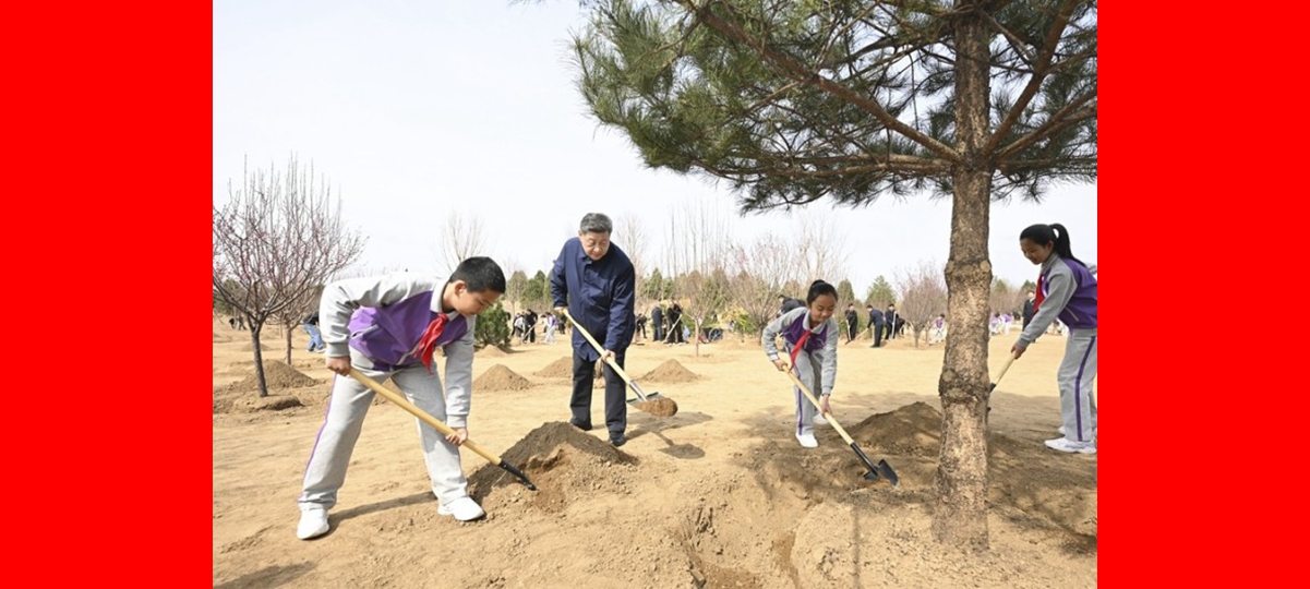Ο Σι Τζινπίνγκ προτρέπει κινητοποίηση ολόκληρης της κοινωνίας σε προσπάθειες δενδροφύτευσης