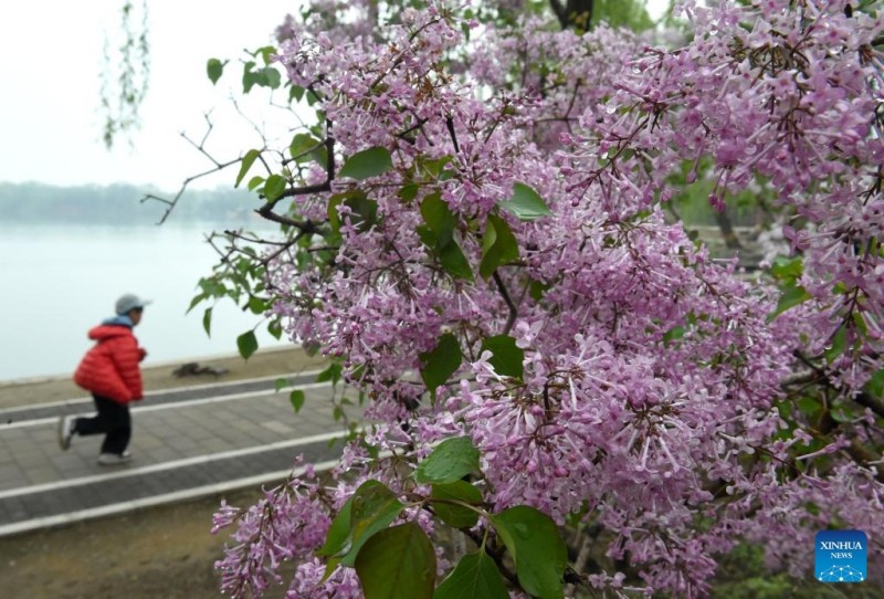 Ξεκινά το φεστιβάλ τουρισμού της Άνοιξης στο πάρκο Γιουανμινγκγιουάν στο Πεκίνο