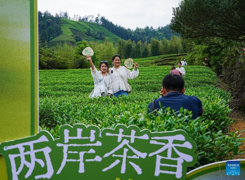 Πολιτιστική εκδήλωση σε κήπο τσαγιού στην κωμόπολη Σινγκτσούν, στην επαρχία Φουτζιέν της Κίνας
