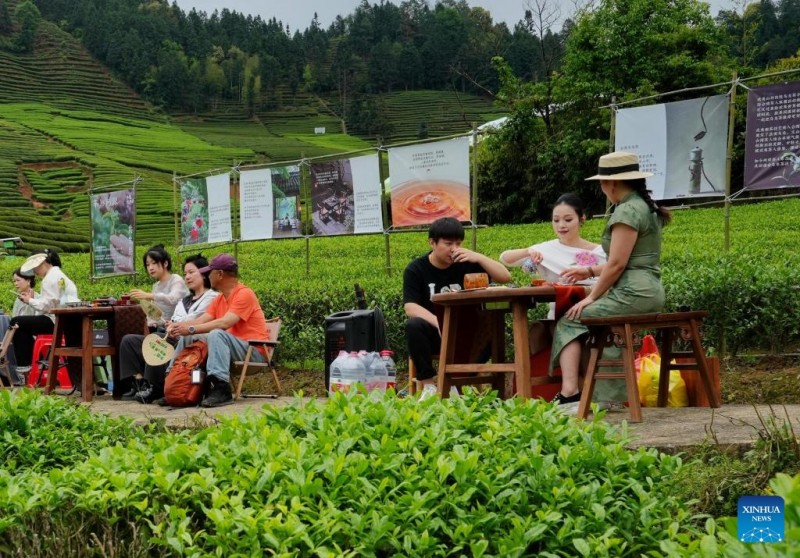 Πολιτιστική εκδήλωση σε κήπο τσαγιού στην κωμόπολη Σινγκτσούν, στην επαρχία Φουτζιέν της Κίνας