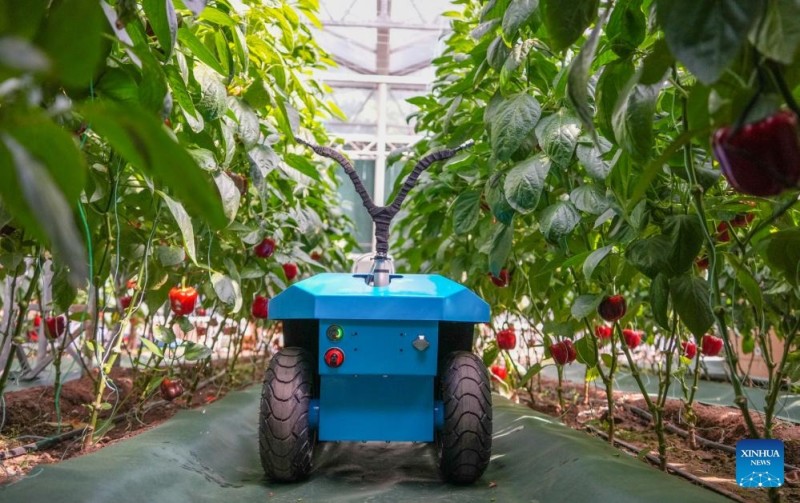 Η αυτόνομη γεωργία στο επίκεντρο της διεθνούς έκθεσης επιστήμης και τεχνολογίας λαχανικών στην επαρχία Σαντόνγκ