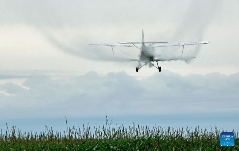 Αεροσκάφη και drones συμβάλλουν στη διασφάλιση της φθινοπωρινής συγκομιδής σιτηρών στην επαρχία Χεϊλονγκτζιάνγκ της Κίνας