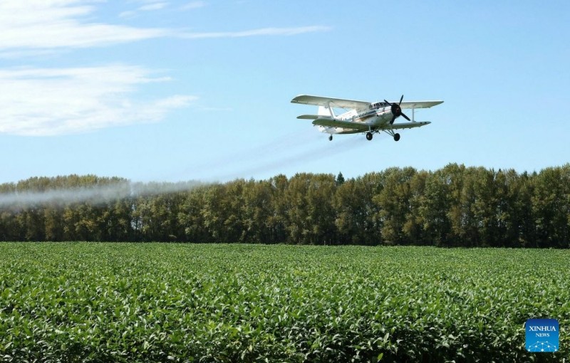Αεροσκάφη και drones συμβάλλουν στη διασφάλιση της φθινοπωρινής συγκομιδής σιτηρών στην επαρχία Χεϊλονγκτζιάνγκ της Κίνας